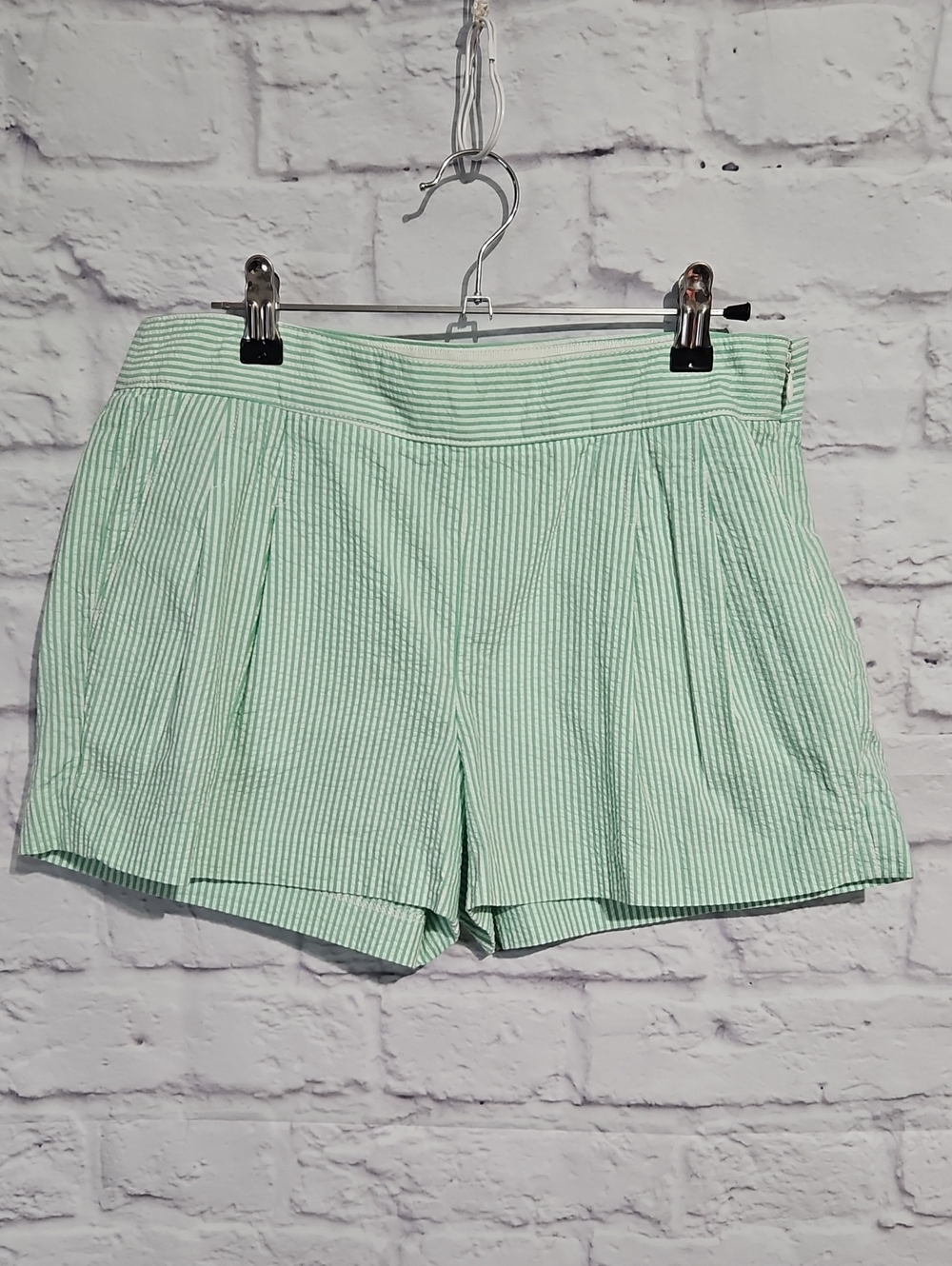 J. Crew Mint Green Striped Women's Shorts